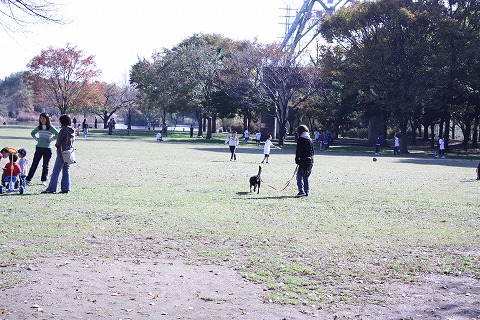 e0162524_12304298.jpg