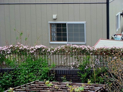 f0170524_1581969.jpg