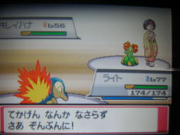 ポケットモンスターハートゴールドプレイ日記（タマムシジム戦）_a0120525_2395832.jpg