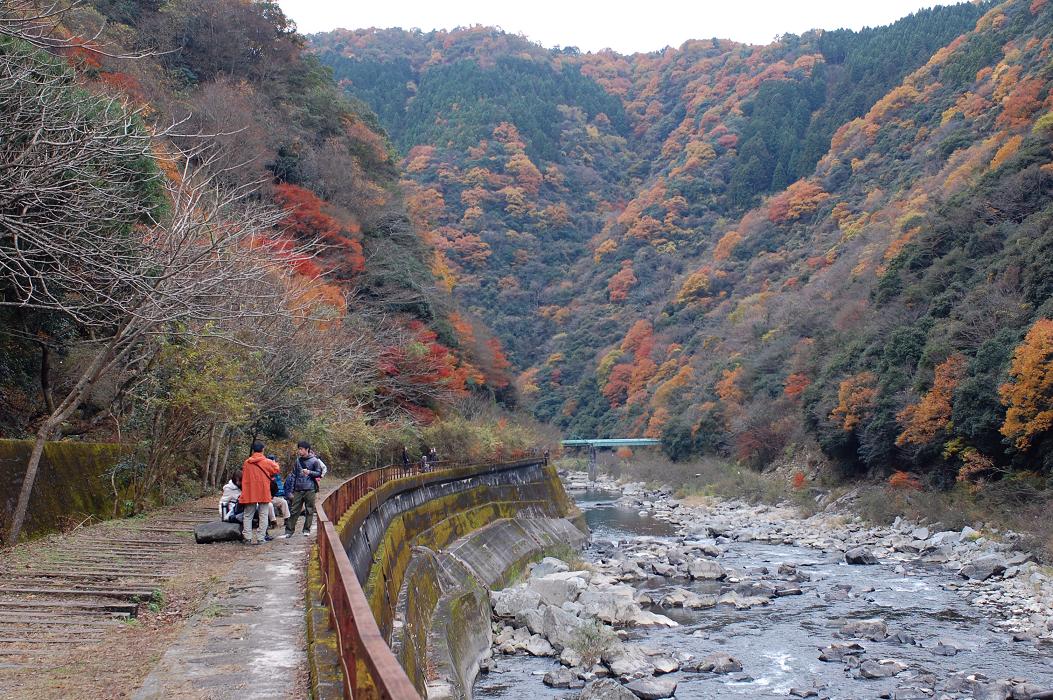 だから、うまい。新潟_f0050226_1535764.jpg