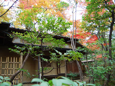 根津美術館の紅葉。_a0026127_21394444.jpg
