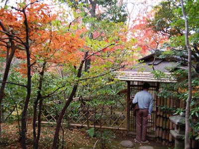 根津美術館の紅葉。_a0026127_2140292.jpg