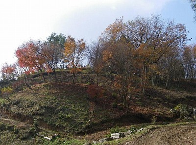 d0086228_14424448.jpg