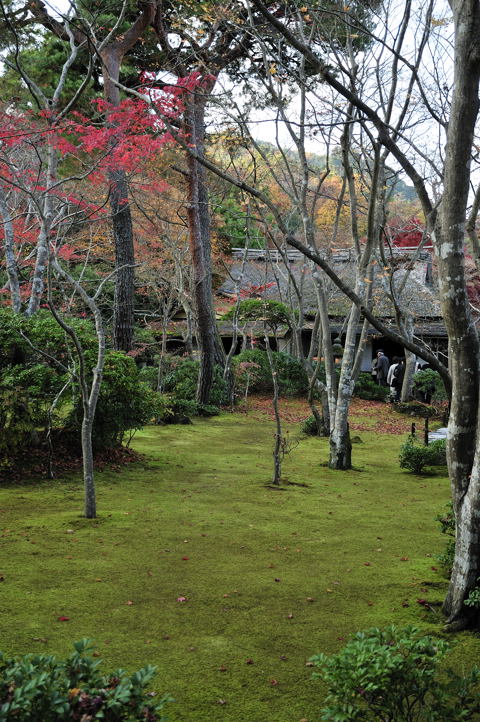 京都　嵐山_e0067435_20404770.jpg