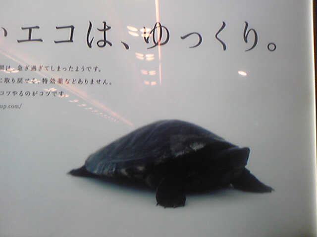 プチレプから帰って来ました!_b0174337_22274732.jpg