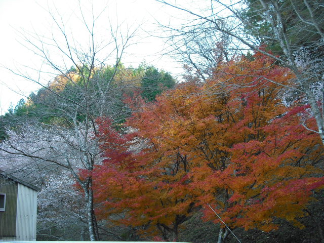 c0194042_20112453.jpg