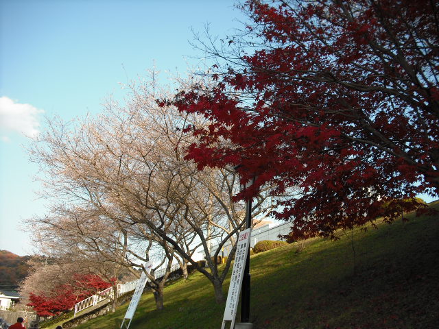 c0194042_20121943.jpg