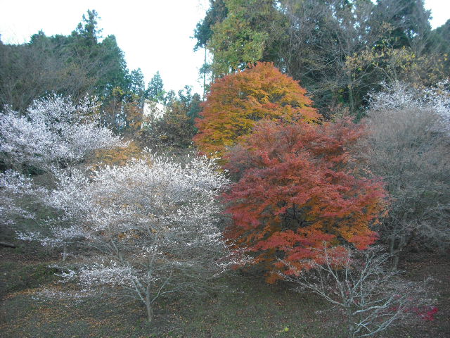 久しぶりのお出掛け♪-２_c0194042_20123169.jpg