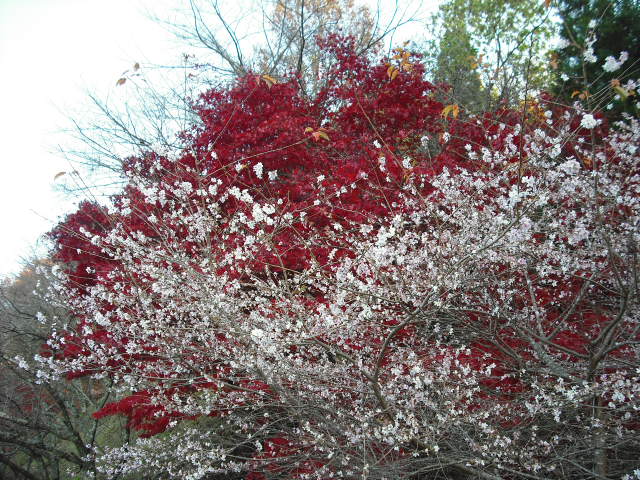c0194042_20124087.jpg