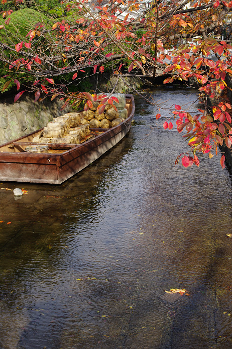 京都をご案内~_f0152550_2201264.jpg