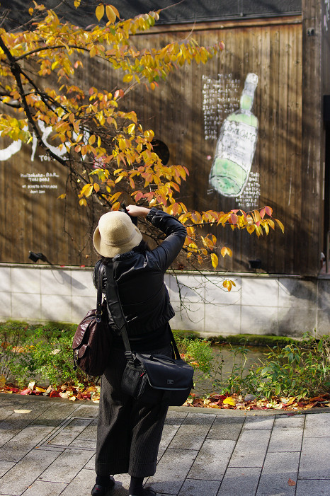 京都をご案内~_f0152550_2202864.jpg
