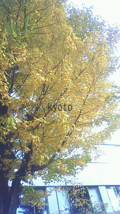 京都の研究会_c0187754_552264.jpg