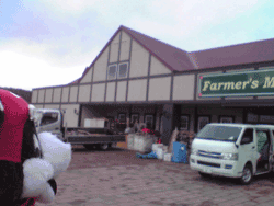 b0159557_2257413.gif