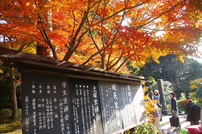 北鎌倉・円覚寺の紅葉は今、見ごろ①（０９・１１・２８）_c0014967_18151342.jpg