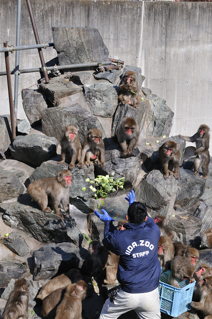 飯田市立動物園にて⑤_c0197772_6311514.jpg