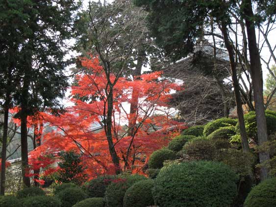 京都ひとり旅　（1/4）_b0041473_22345440.jpg