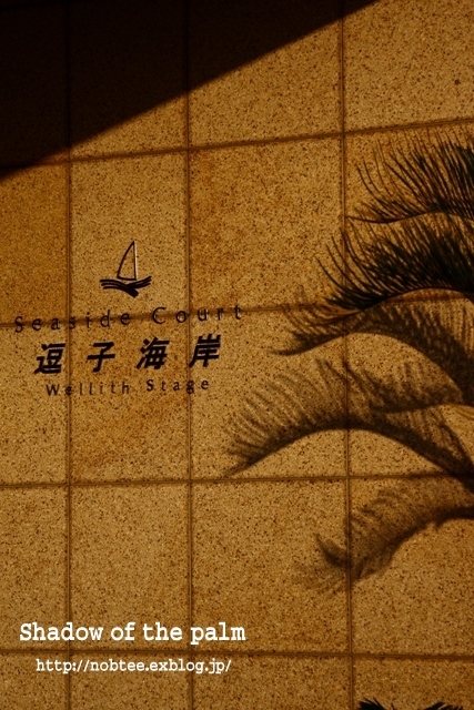 c0140281_2250364.jpg