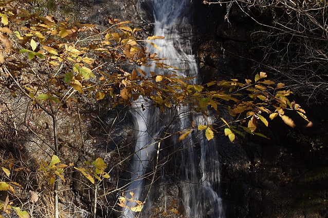 e0165983_1623750.jpg