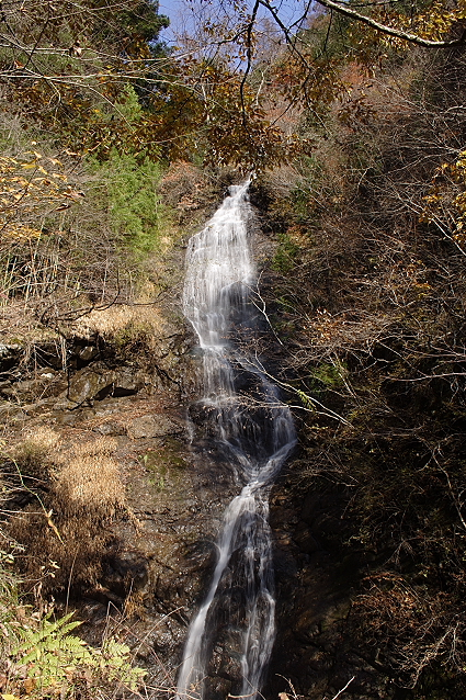 e0165983_1624256.jpg
