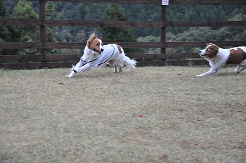 c0075585_224056.jpg
