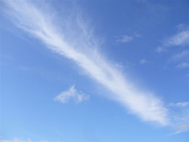 台風一過_b0175688_2252565.jpg