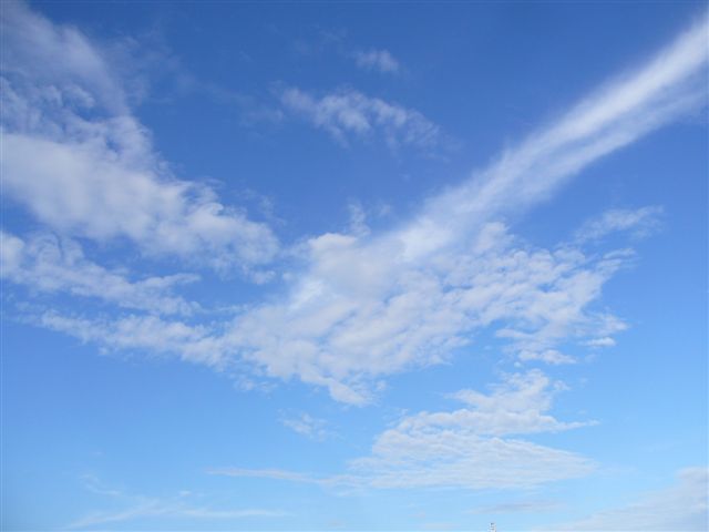 台風一過_b0175688_22531334.jpg