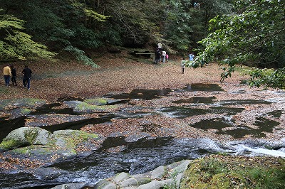 紅葉・黄葉_b0062793_12294910.jpg