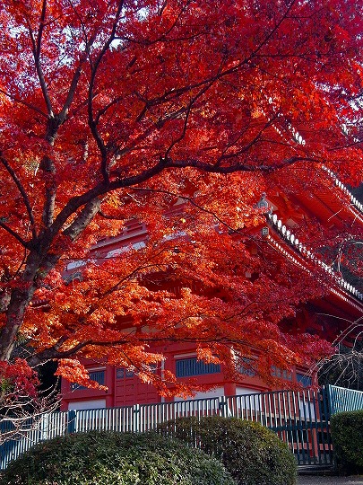 清水寺の紅葉_e0176993_65718.jpg