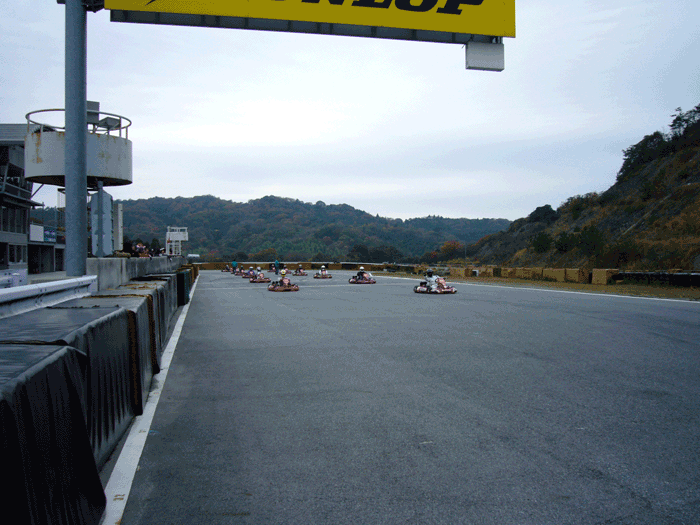 f0001993_10132369.gif