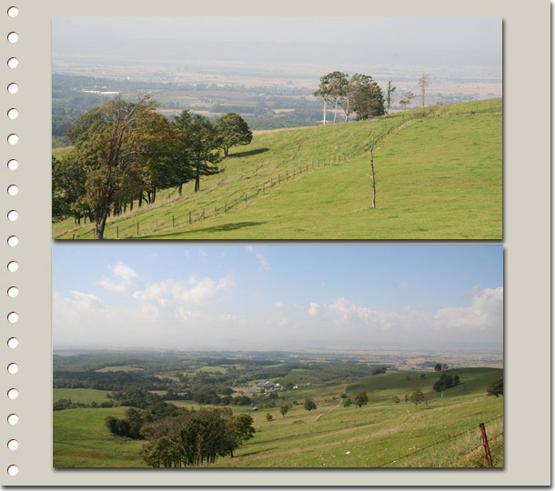 f0146493_2046517.jpg