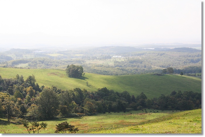f0146493_204706.jpg