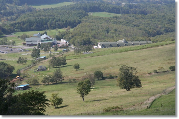 f0146493_20473265.jpg