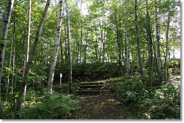 f0146493_20493981.jpg