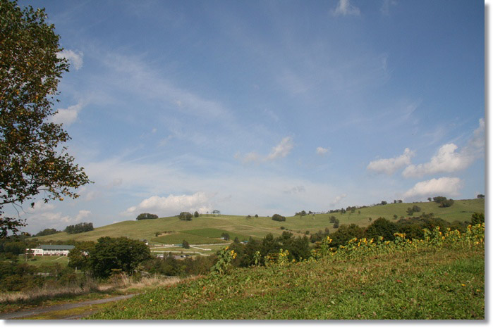 f0146493_20505075.jpg