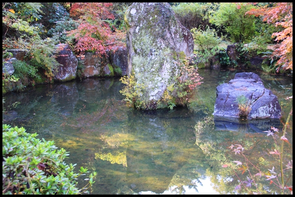 紅葉(深山公園）_c0037200_19535136.jpg