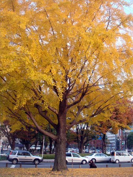 b0118001_1811093.jpg