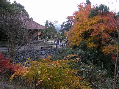 a0125704_2214861.jpg