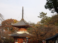 e0021004_22461938.jpg