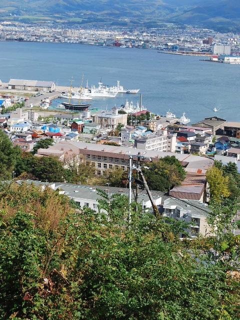 函館市立弥生小学校_f0142606_2010153.jpg