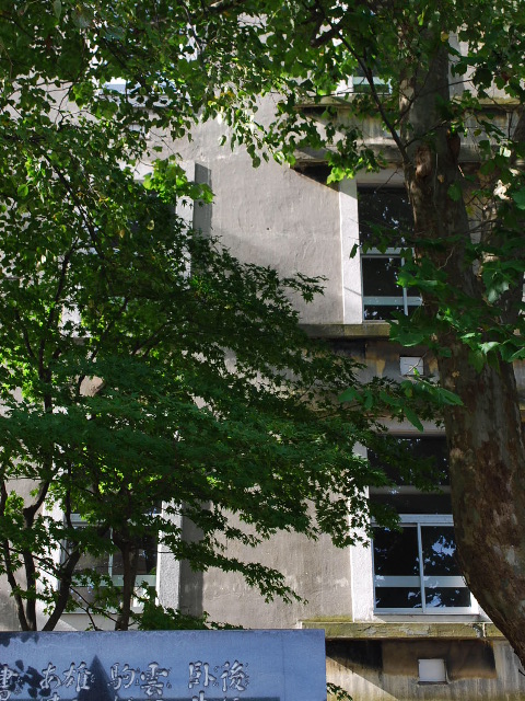 函館市立弥生小学校_f0142606_20334524.jpg