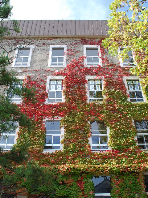 函館市立弥生小学校_f0142606_204838.jpg