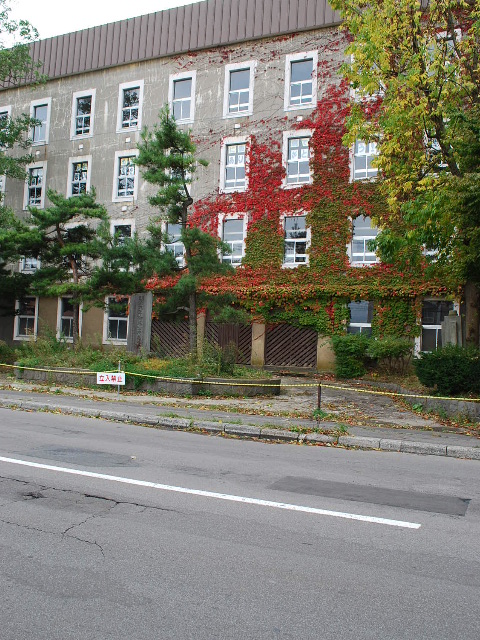 函館市立弥生小学校_f0142606_205367.jpg