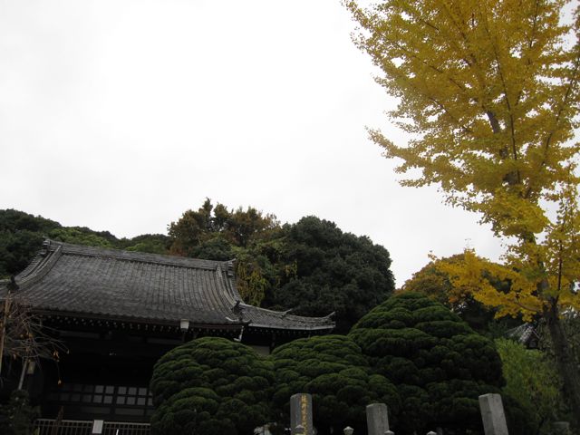 f0159406_2252334.jpg