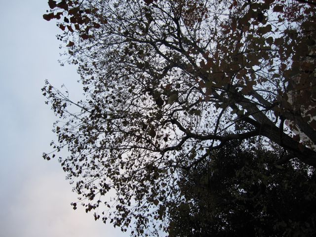 f0159406_2253256.jpg