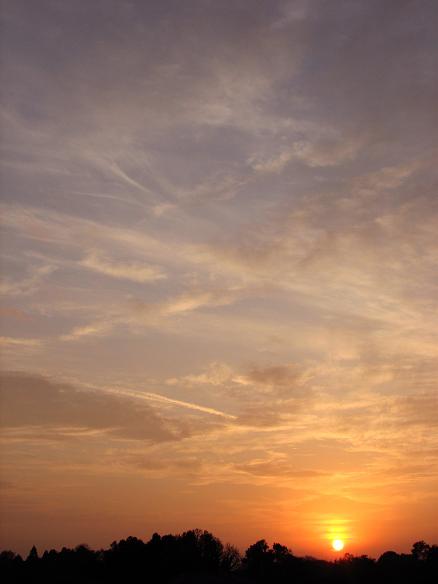f0155808_8174951.jpg