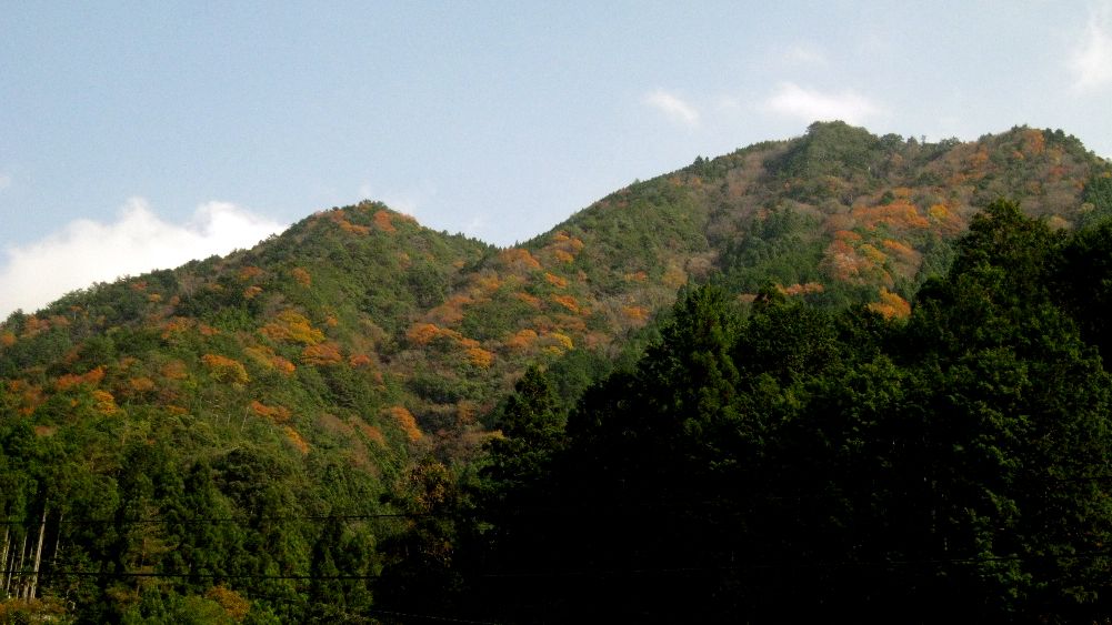 e0003910_835636.jpg