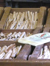 Four des Navettes マルセイユの伝統菓子ナヴェット_c0097611_13303460.jpg