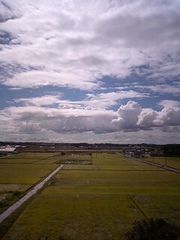 e0027813_23343053.jpg