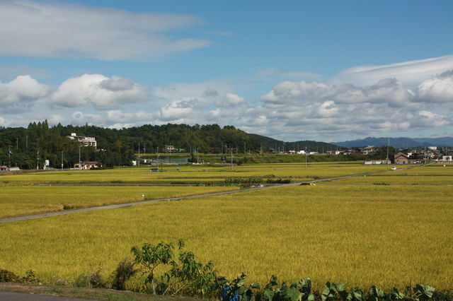 e0027813_2335017.jpg