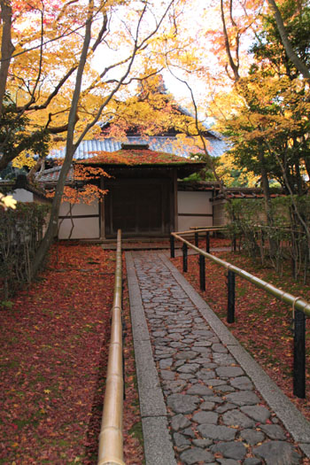 紅葉の大徳寺 高桐院_e0048413_227048.jpg